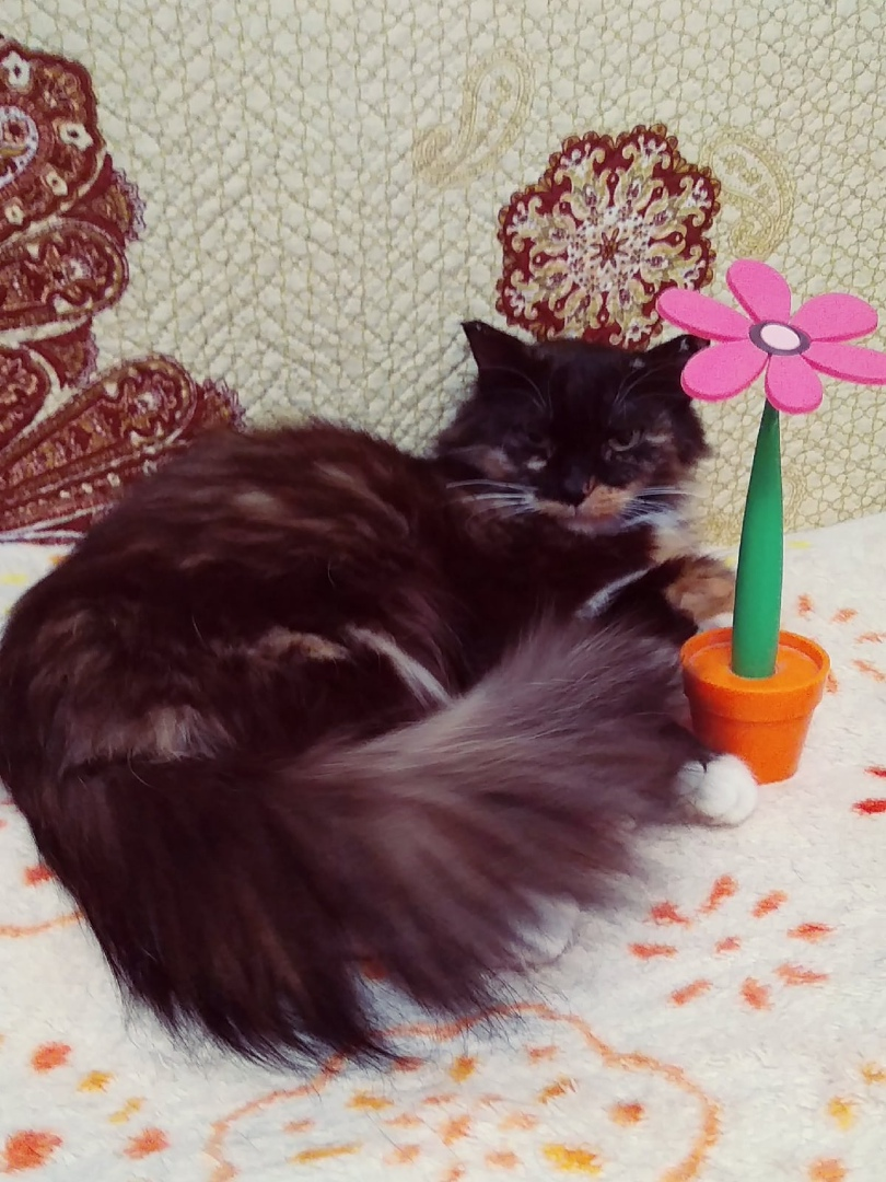 Цветочек недоволен, что он не единственный в цветнике😂😂😂