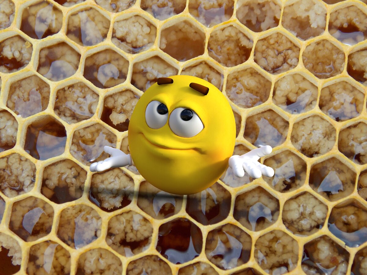 медоведение