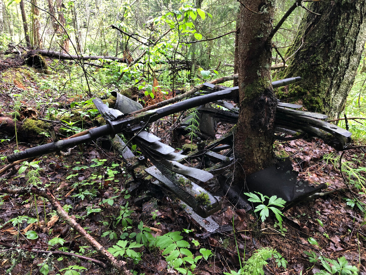 Подвеска кареты