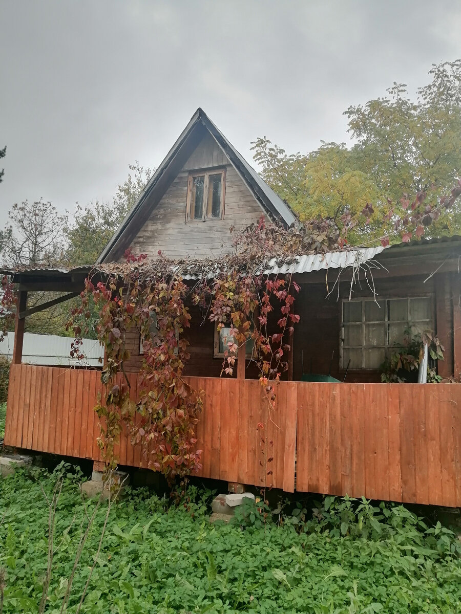 А вот и сам сарай, хотя он совсем не сараем был раньше, предыдущие владельцы сначала построили этот маленький домик и жили в нем, пока не построили большой, а потом этот домик использовался, как летняя кухня, а у нас служит для хранения строительных материалов и всякой всячины. В дальнейшем мы его снесем. По крайней мере, планы такие