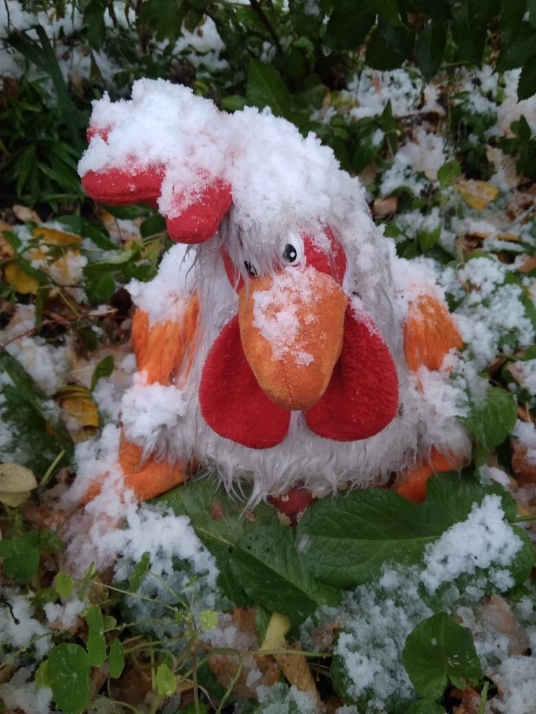 фото автора 