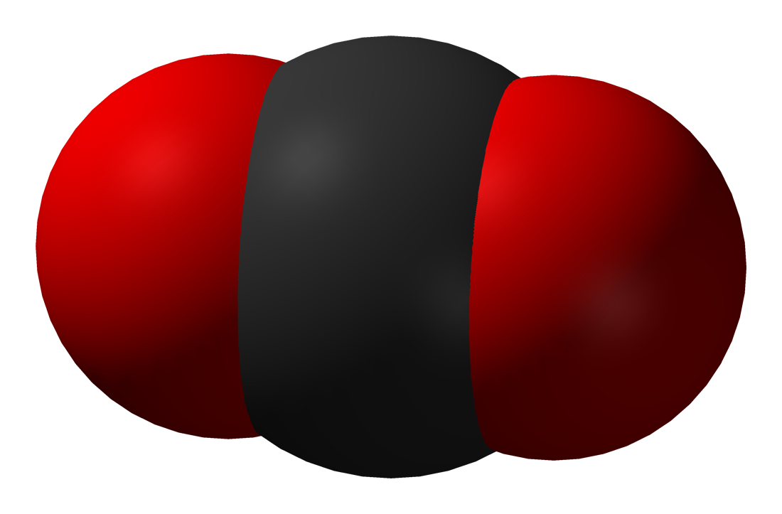 4 молекулы углекислого газа