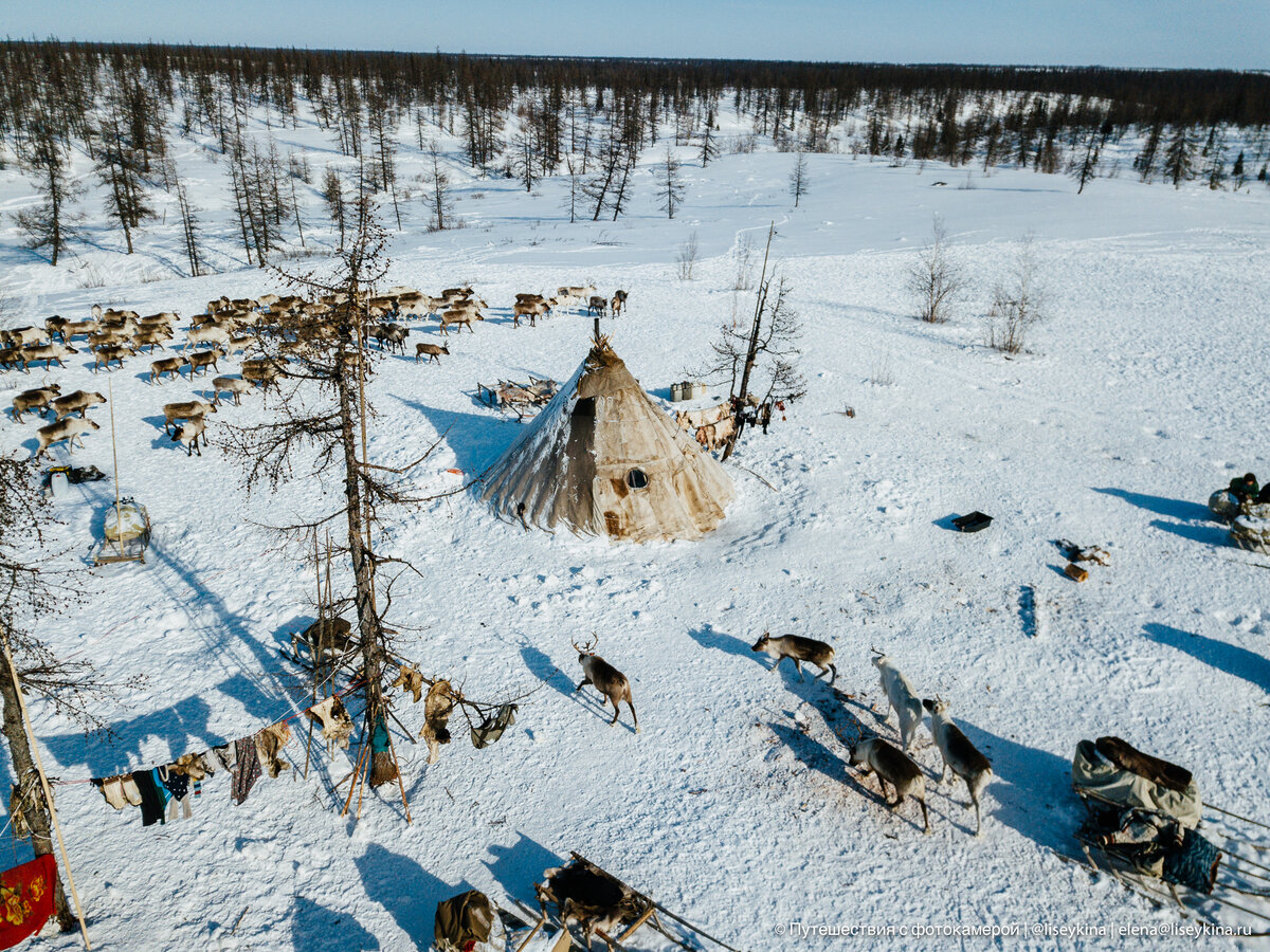 Оймякон полюс. Как жить зимой. Аэропорт оймякон. Оймякон люди. Как жить зимой.