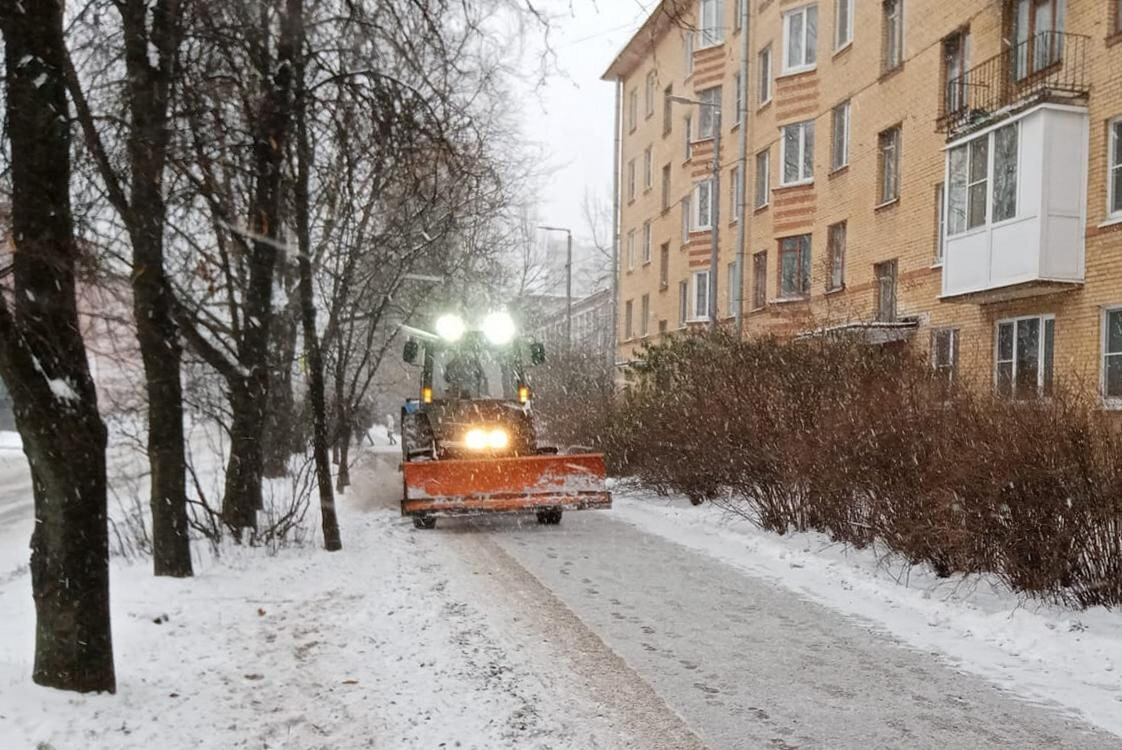   
 Фото: Комитет по благоустройству Петербурга