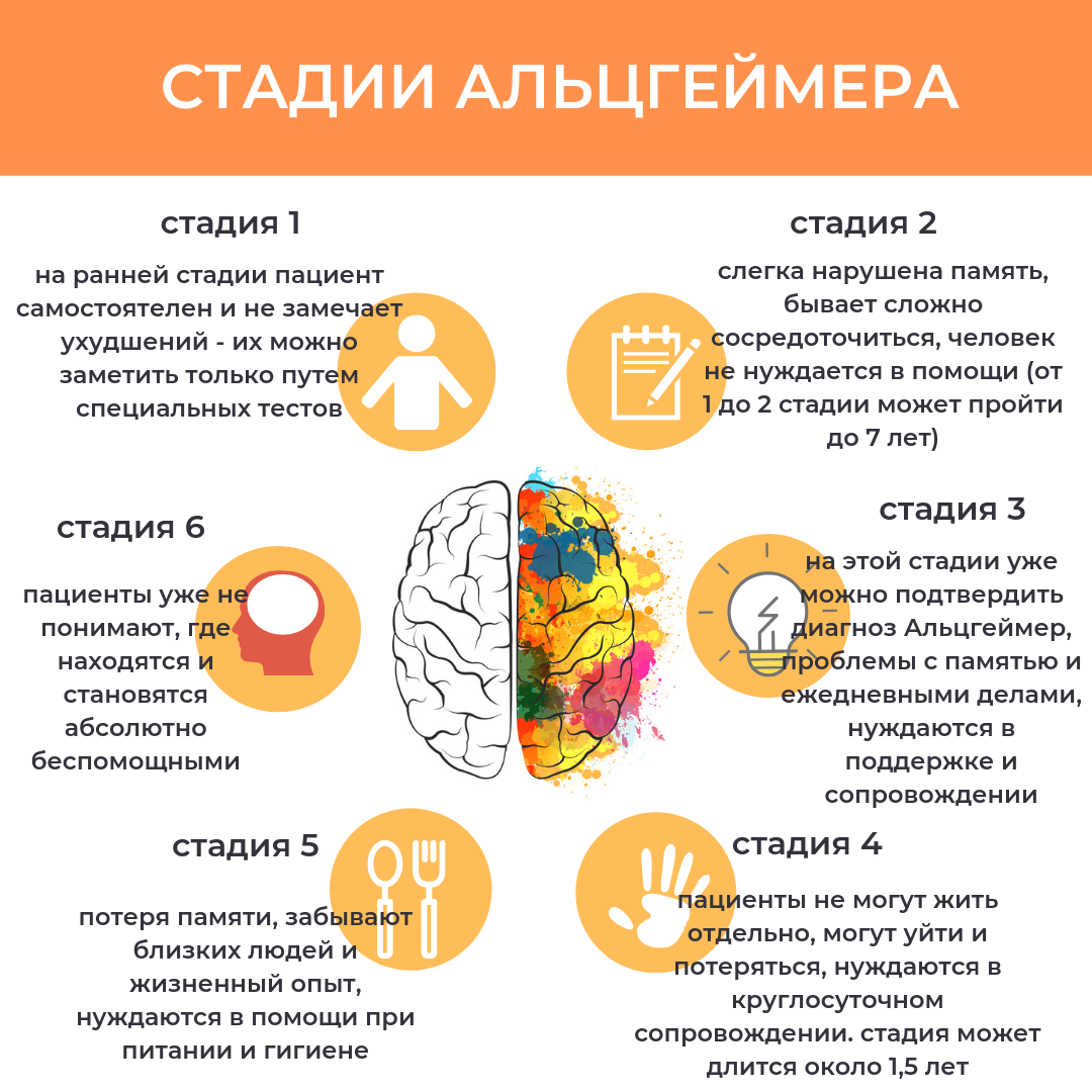 Деменция это. Профилактика болезни Альцгеймера брошюра. Начальная стадия Альцгеймера. Начальная стадия болезни Альцгеймера. Стадии болезни Альцгеймера