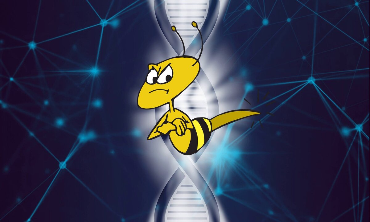 Про злые породы пчёл