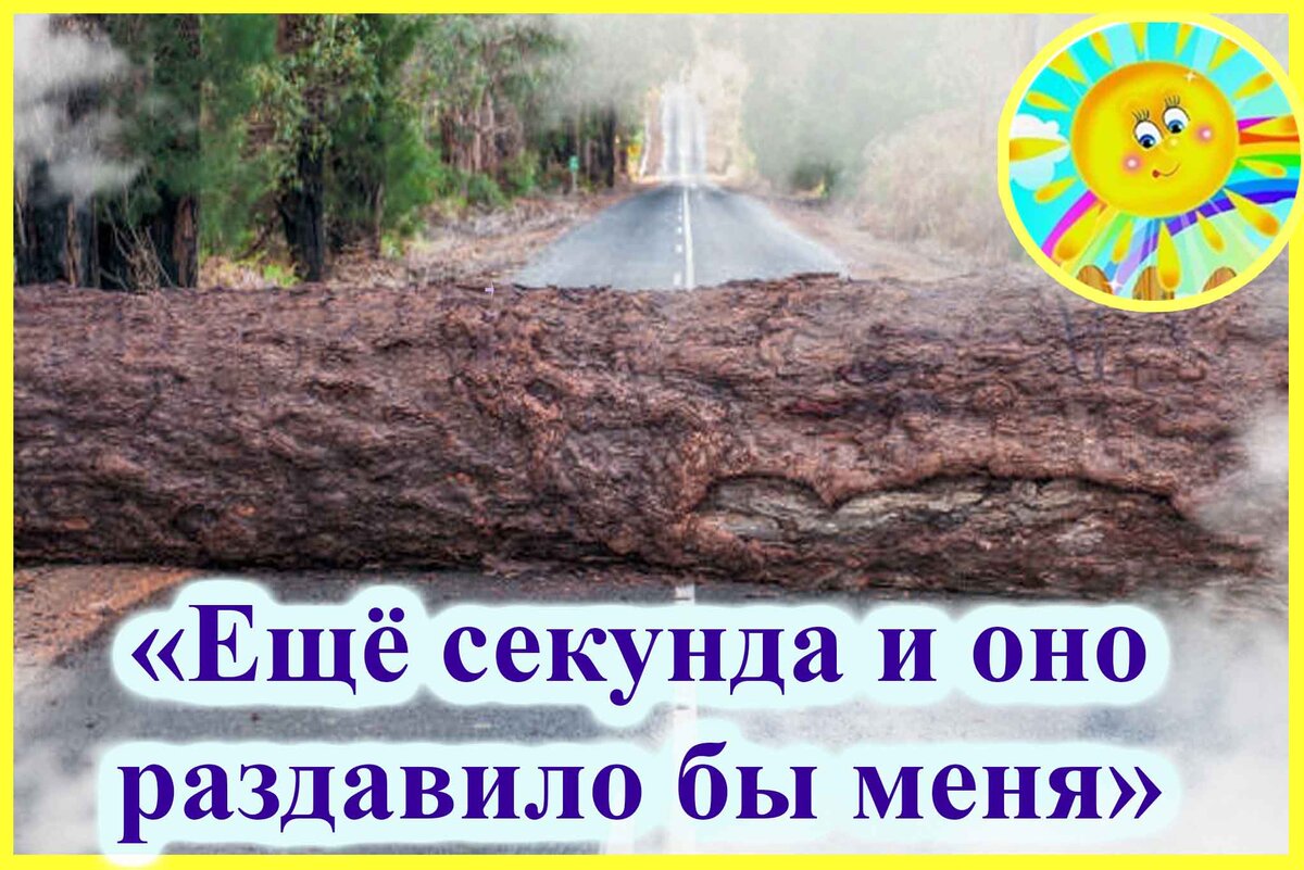 Личный архив