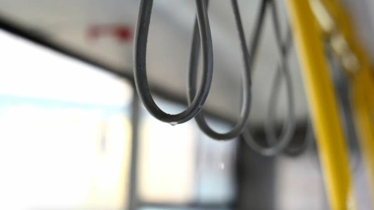     В Татарстане с 1 января предстоящего года в 37 районах хотят повысить стоимость проезда на муниципальных регулярных маршрутах. Соответствующие проекты постановлений госкомитета РТ по тарифам появились на портале правовой информации.