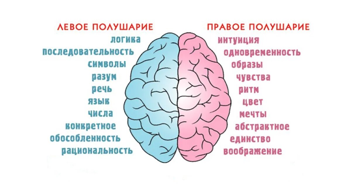 При изучения китайского вы активно начинаете использовать правое полушарие.
