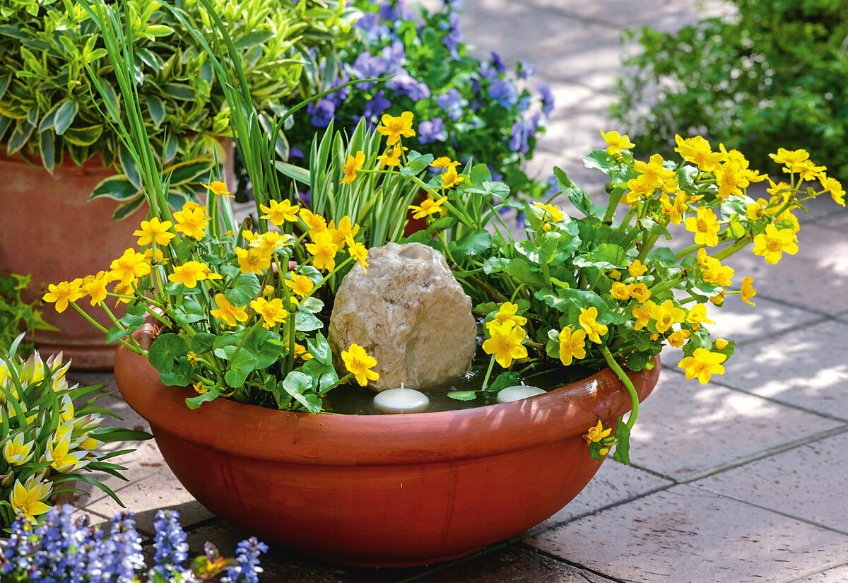    Емкость и непритязательные водные растения, например калужница болотная — все, что нужно для создания такого мини-пруда. Камень-фонтан делает композицию динамичной