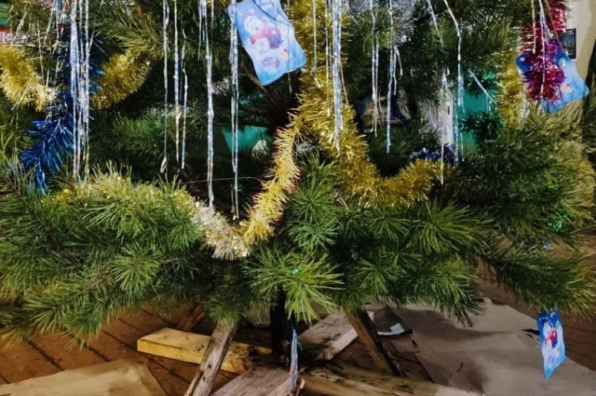    Мобилизованные владимирцы установили новогоднюю ель в зоне СВО