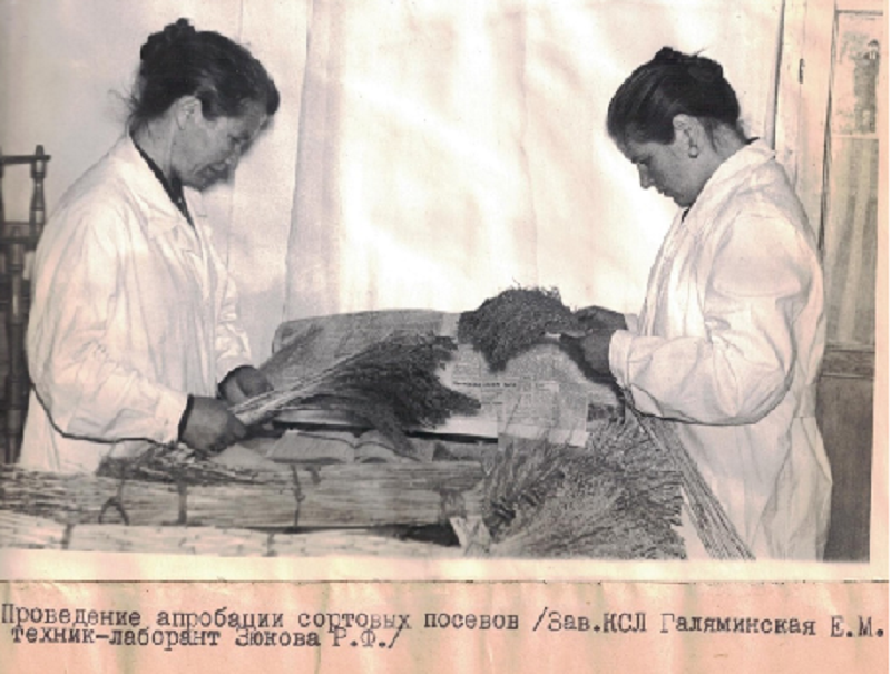 Фото из архива Челябинского филиала Россельхозцентра