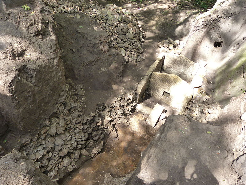 Фото Dmitralex 2015 года из Википедии