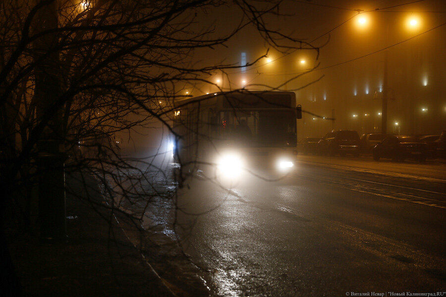 Фото: Виталий Невар / Новый Калининград