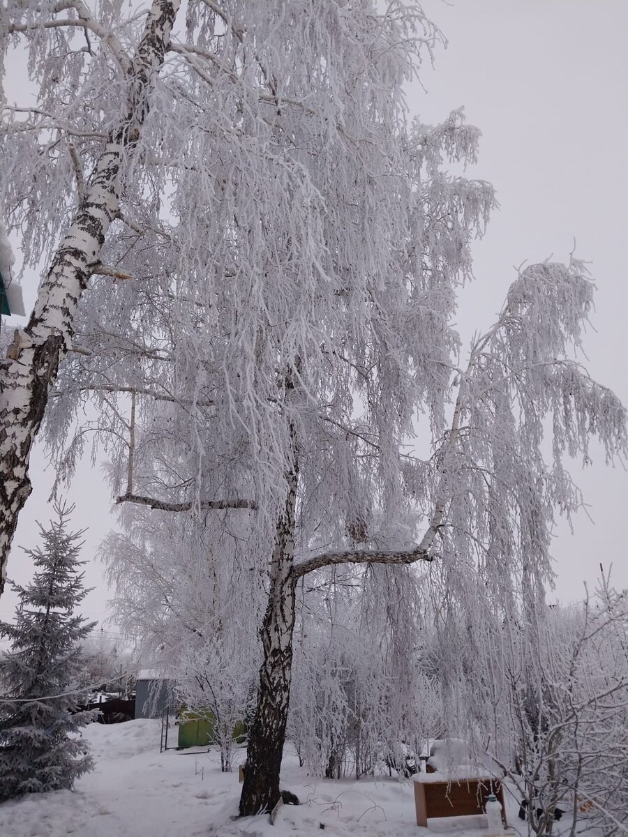 Не чудесно ли