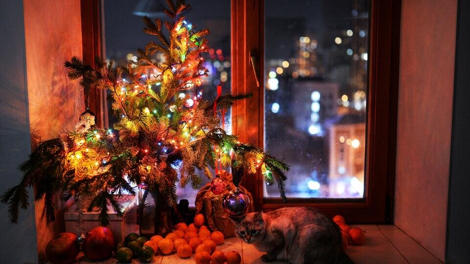 Фото: © РИА Новости/Александр Кряжев