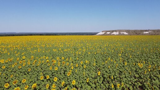 Роман под открытым небом, Ростовская область