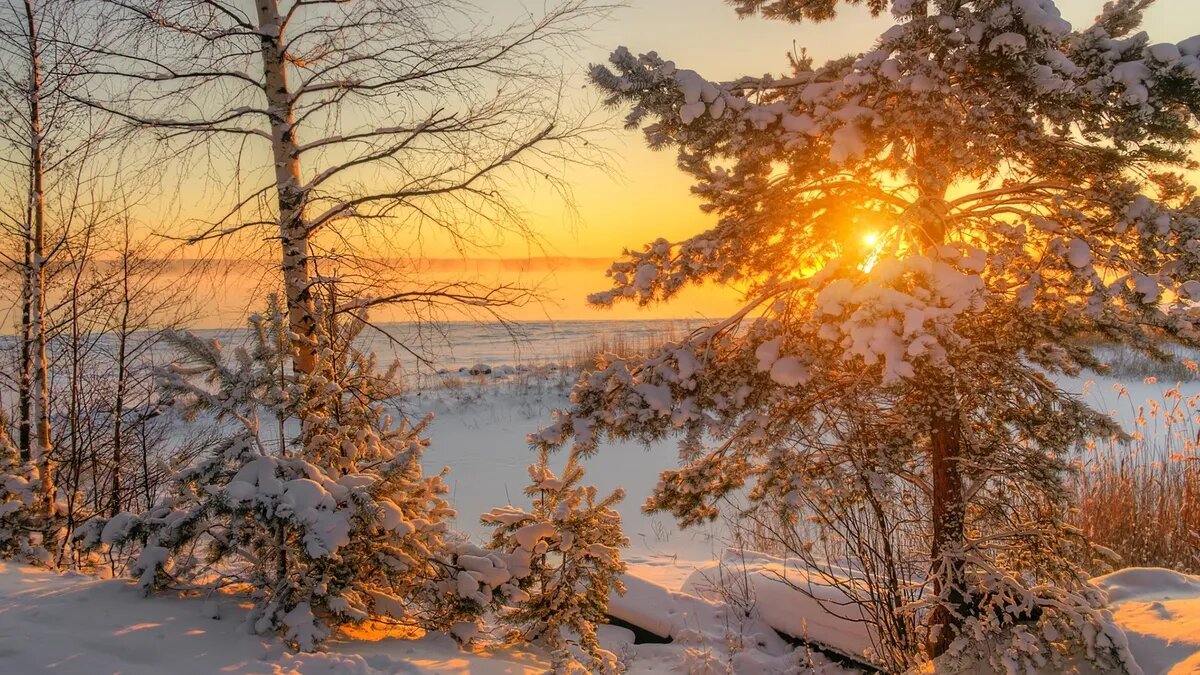 Солнце не унимается. Фото: pxhere.com