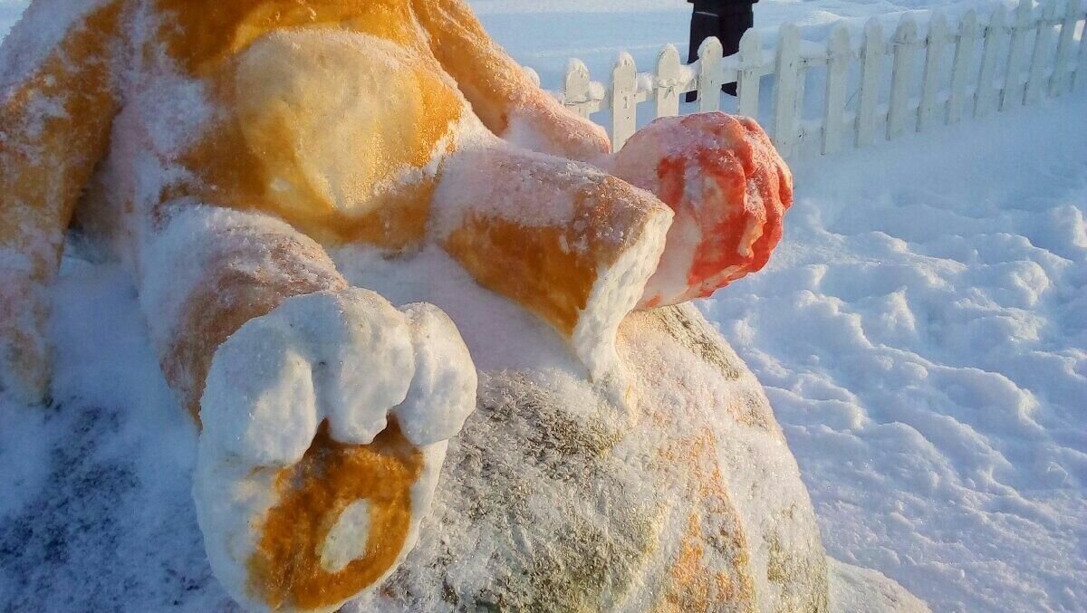     Рождество снежные фигуры в Тобольске встретили в крайне печальном виде. Кому-то отломили лапу, кто-то лишился уха, а некоторые вовсе остались без головы.
