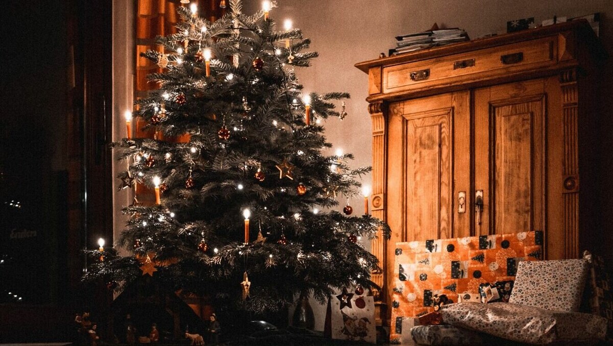     Жителям Хакасии предлагают сдать елки после новогодних праздников. Деревья отправят на переработку.