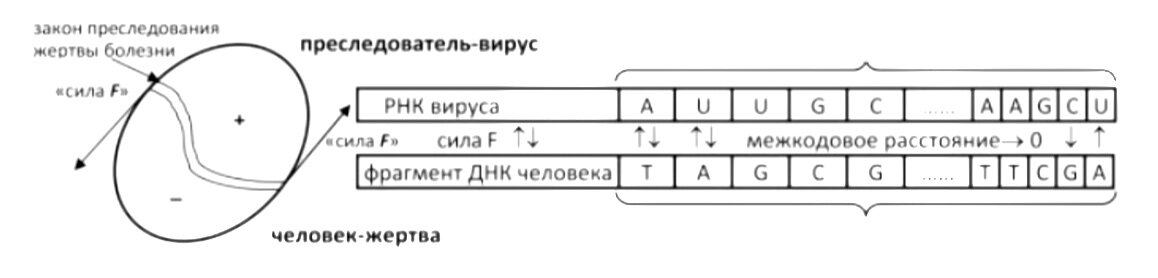 Действуют силы ньютоновские и кулоновские