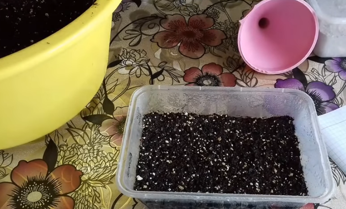 Подготовка грунта и тары