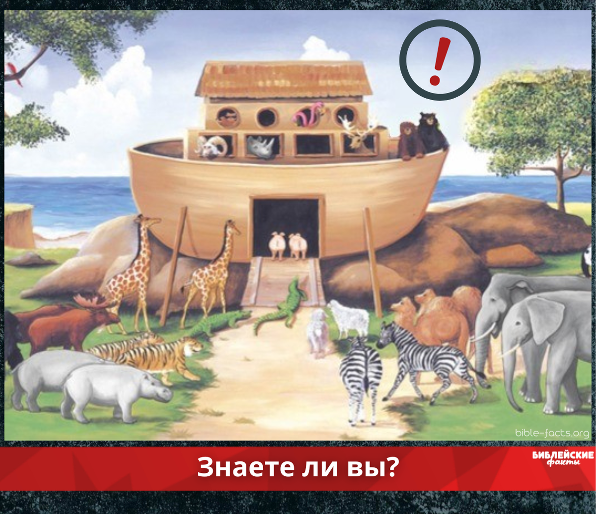 Рисунок ной и ковчег