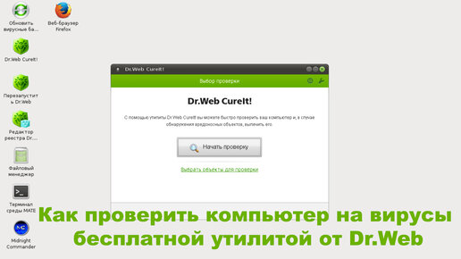 Как проверить компьютер на вирусы бесплатной утилитой от Dr.Web