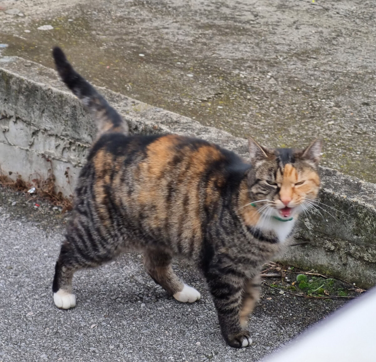 Остальные фото в карусели