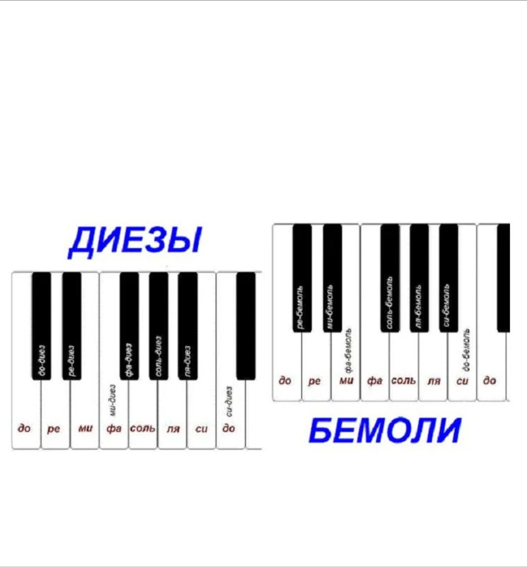 Ля диез. Бемоли и диезы на пианино. Нотная грамота для начинающих фортепиано с нуля. Нота до бемоль на фортепиано. Соль диез на пианино.