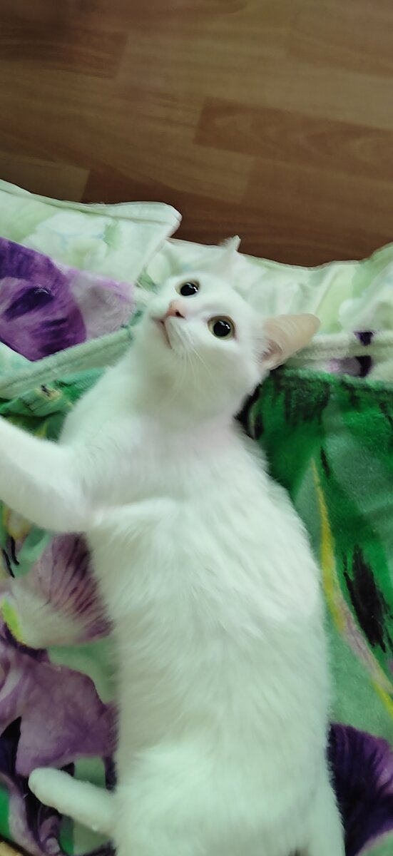 - Эту камеру нужно срочно поймать!!!!!!!!!!!!!