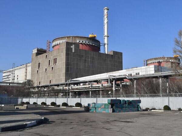    © РИА Новости РИА Новости