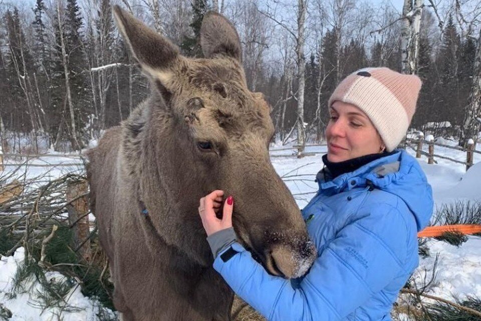     Аян был совершенно ручной, в районе его знали и любили. Фото: предоставлено КП героем публикации.