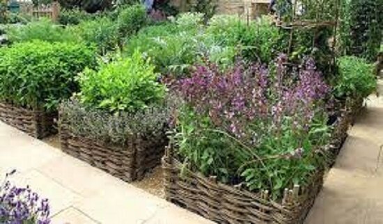 фото из интернета