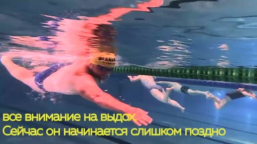 Плавание кролем и поздний вдох. Как научиться плавать кролем и дышать ...