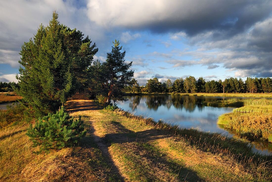 Фото края моего родного края