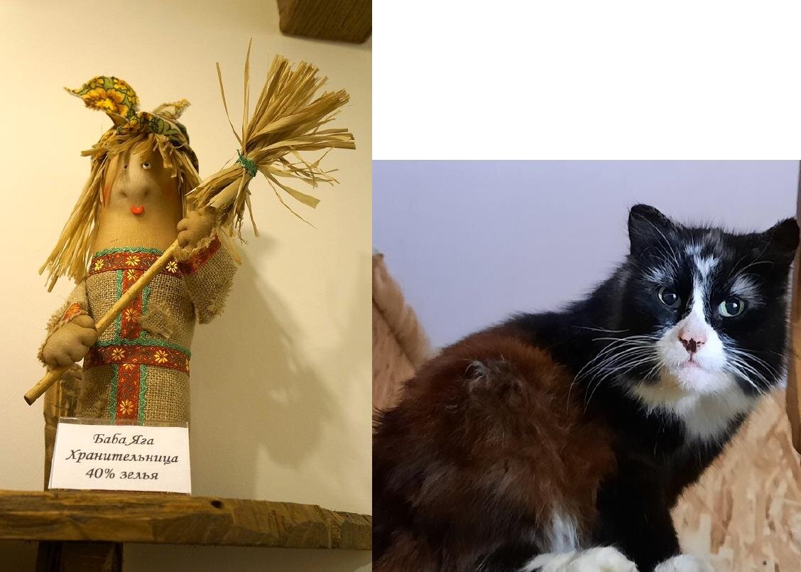 хранительница живет в том же музее Бабуся Ягуся в гор. Владимире, где её автор и сфоткал