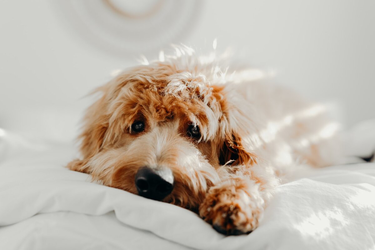    Unsplash