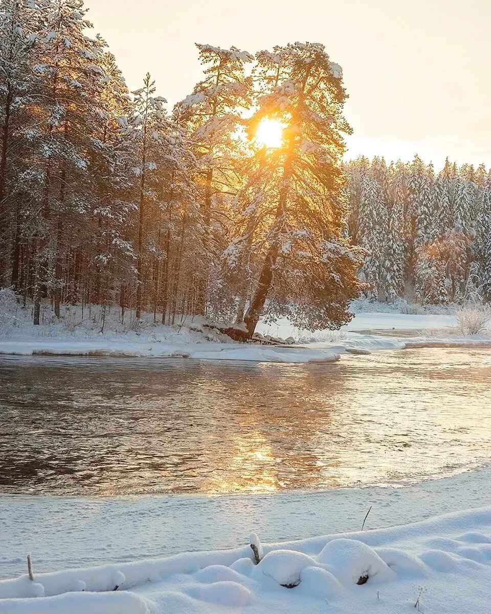 ������ �������