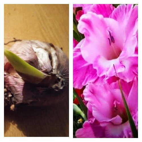 Вот он мой неслушник