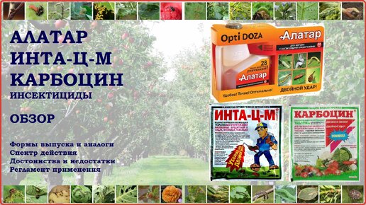 Инта ц м инструкция Инта ц м инструкция