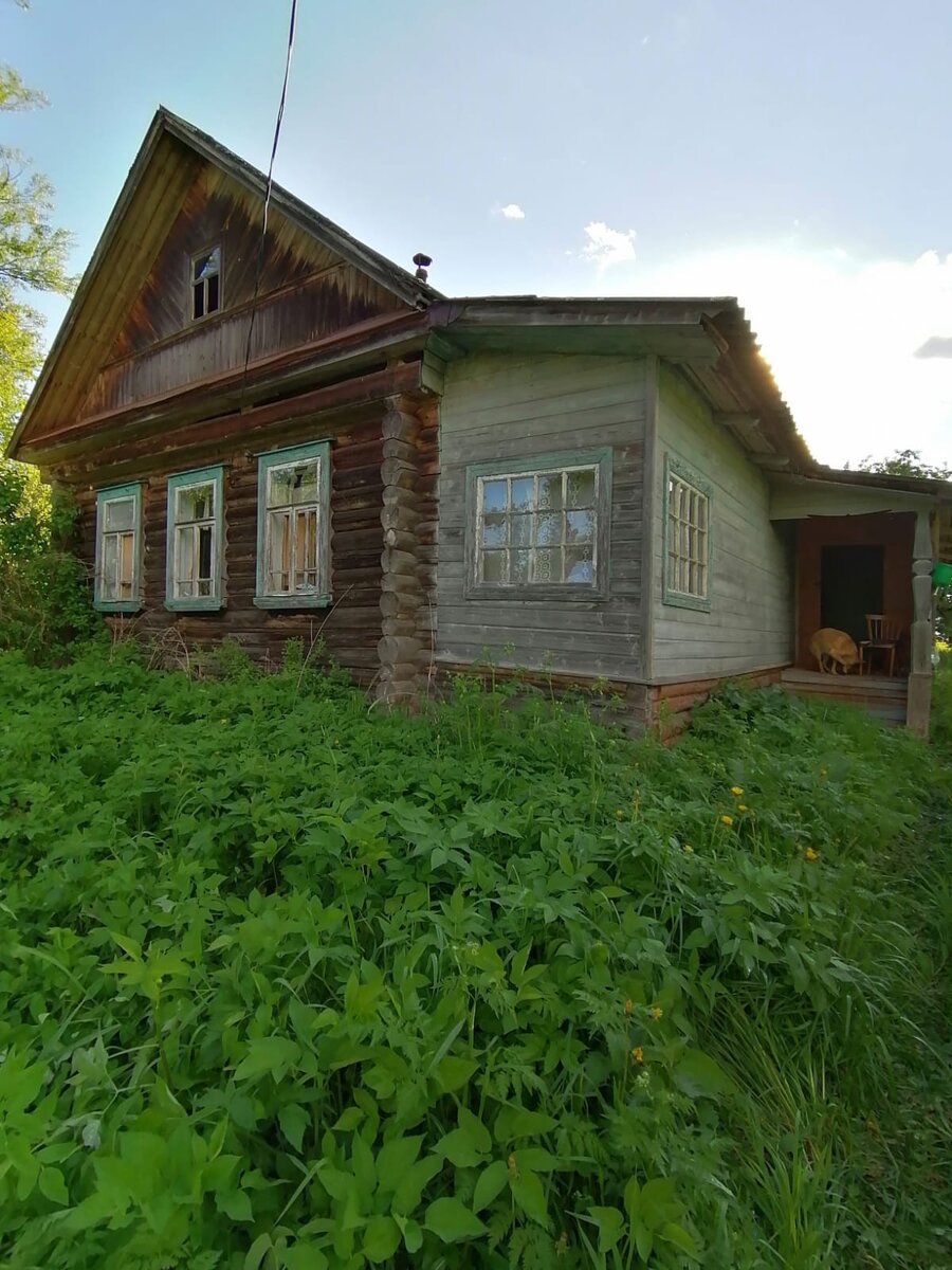 Очередная заброшенная деревня. Дома под крышами | Походный чайник | Дзен