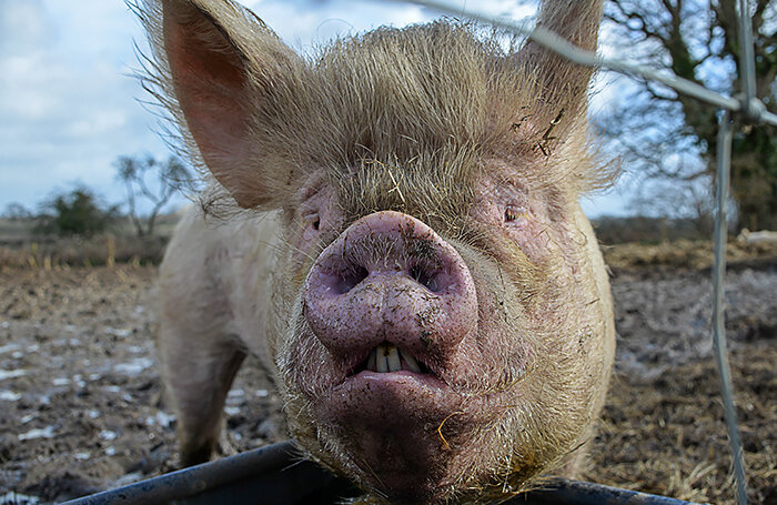    Monika Kubala/Unsplash