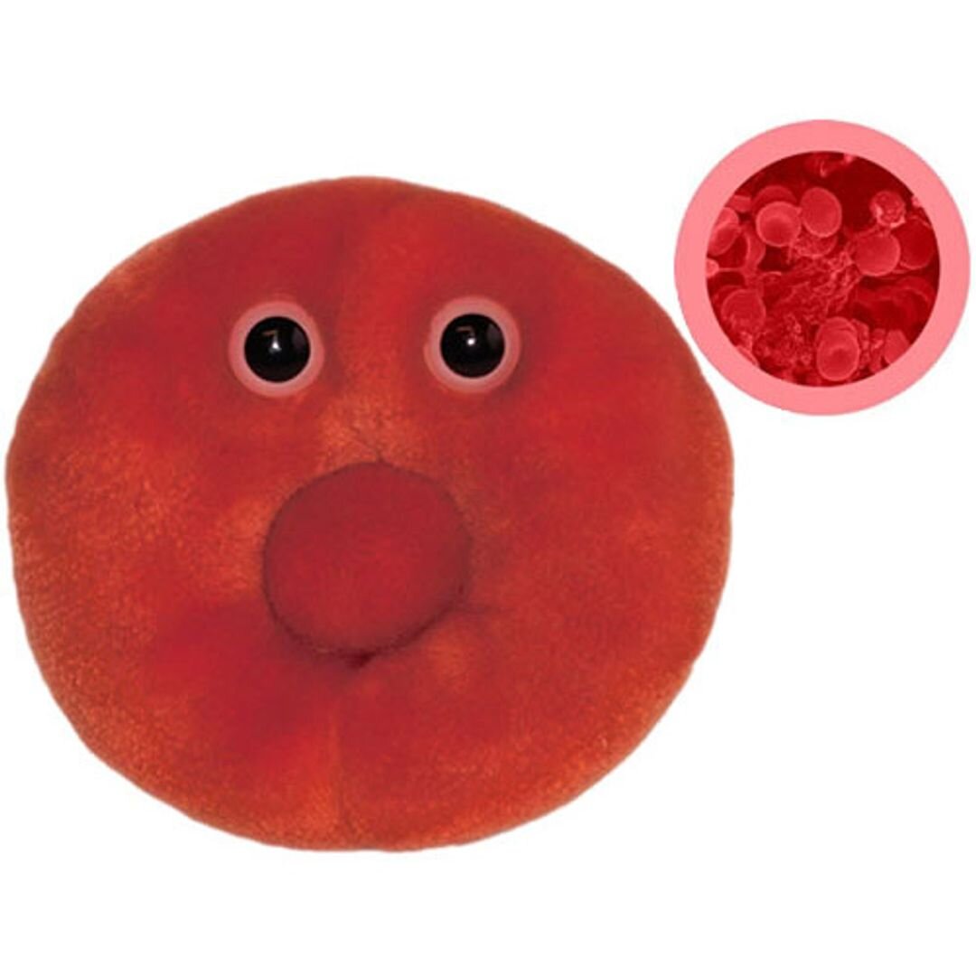 Александр Невзоров хочет перелить себе кровь