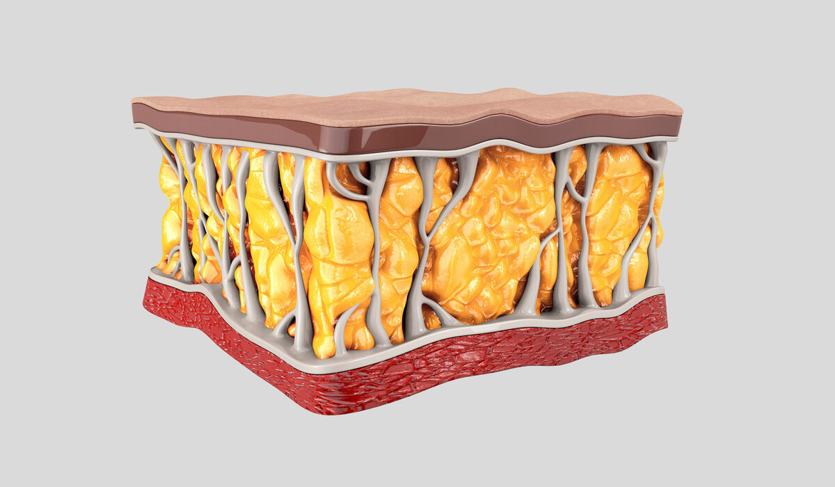 Сколько калорий в подкожном жире