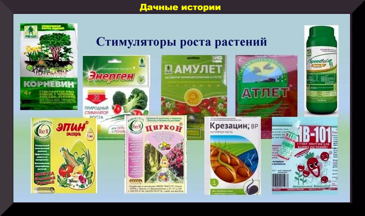 https://vk.com/photo-159774511_457259323