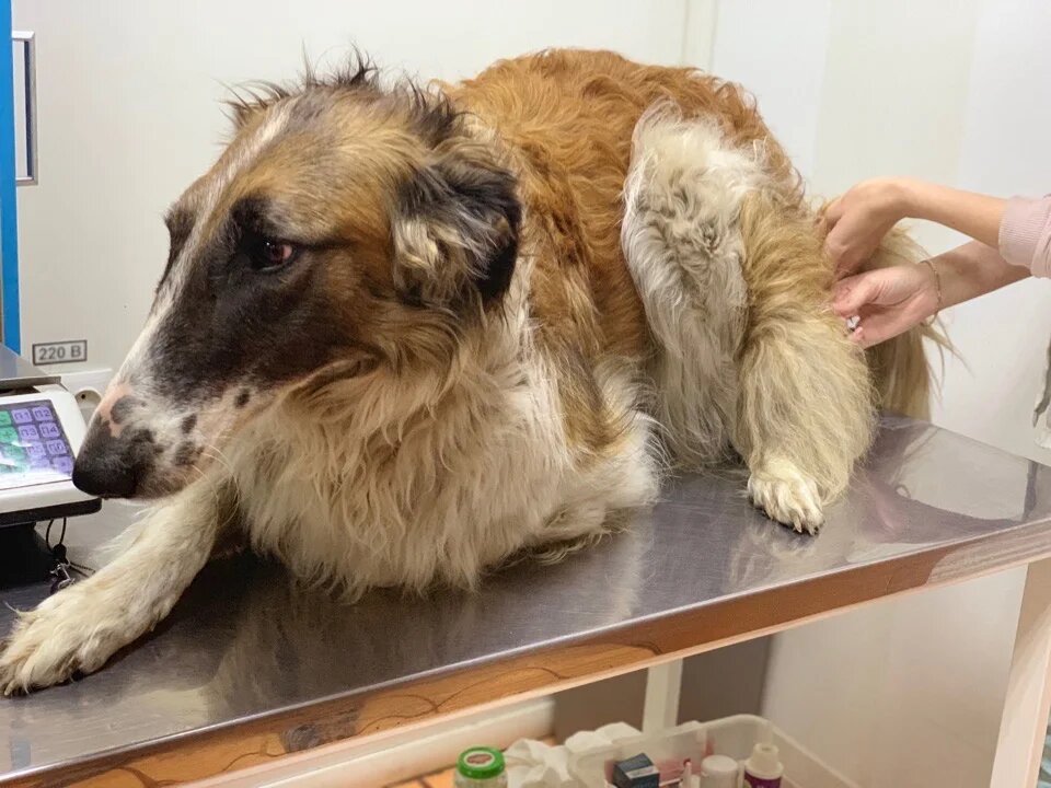 Запуганная до глубины души