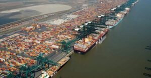    Фото: container-mag.com Маргарита Пименова