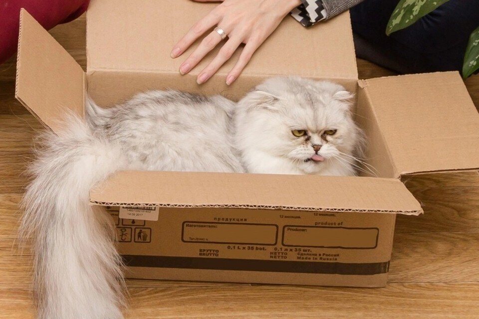     В Новосибирске банк оцепили из-за подозрительной коробки. Валерий ЗВОНАРЕВ