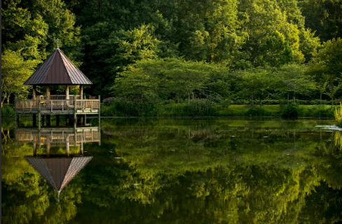 Взято из свободных источников